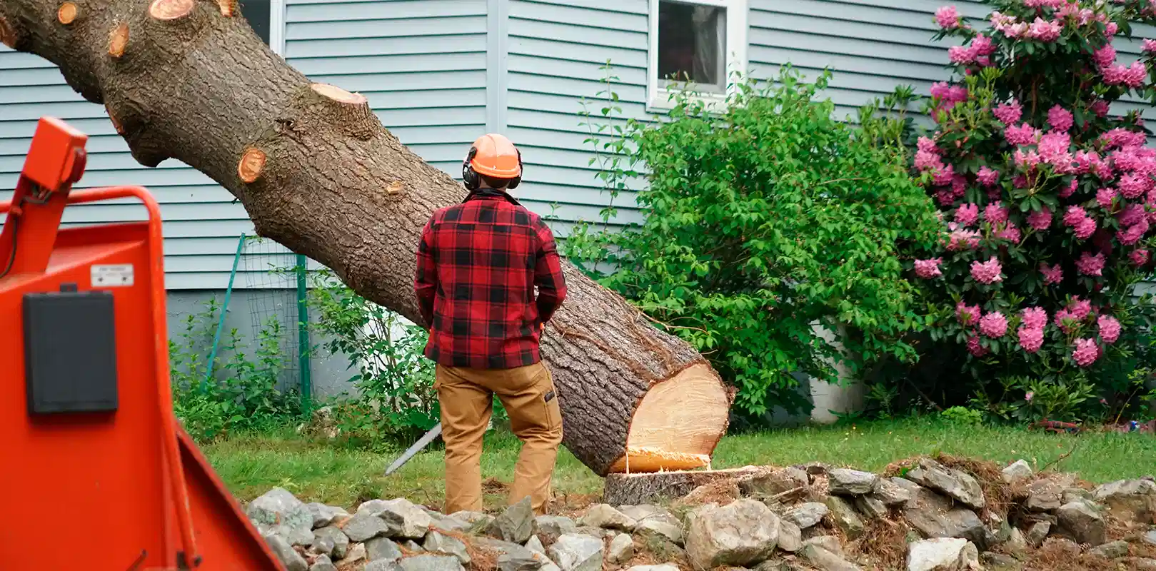 Tree Removal Services